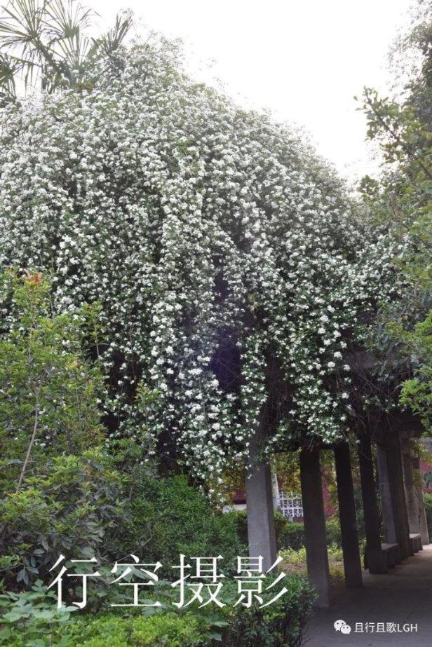 秘密基地找不同