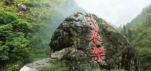 紫色系